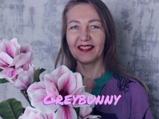 Greybunny