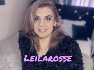Leilarosse