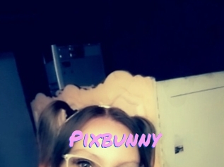 Pixbunny