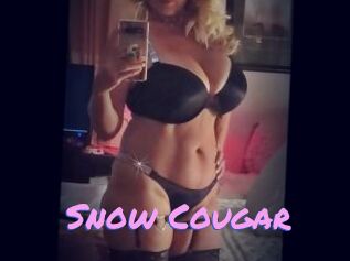 Snow_Cougar
