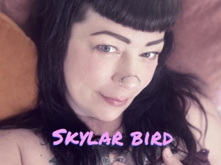 Skylar_bird