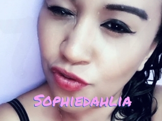 Sophiedahlia