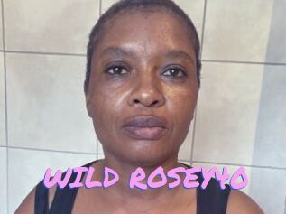 WILD_ROSEY40