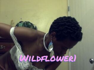 Wildflower1